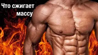 Почему не растут мышцы. Ошибки. Как набрать мышечную массу