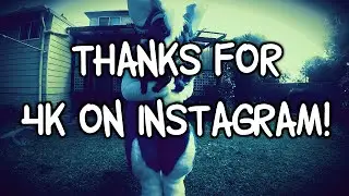 4,000 Instagram Followers!