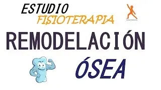 BONE REMODELING