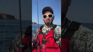 https://kayak-master.com/catalog/ekipirovka/spasatelnye-zhilety/spasatelnyj-zhilet-hikexp-hook/