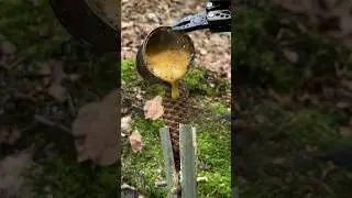 Survival Skills: Campfire made from natural materials in the wilderness.