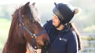 Help horses and ponies like Mouse recover from traumatic experiences