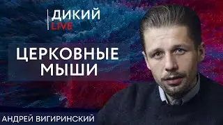 Лапша на уши, или Круг замкнулся. Андрей Вигиринский. Дикий LIVE.