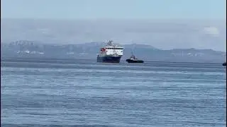 Он приехал: 