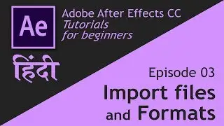Adobe After Effects | Basic course | Episode 03 | Import file formats | Hindi