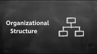 Organizational Structure Explained | MBA Essentials