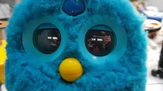 Test - Furby connect russia