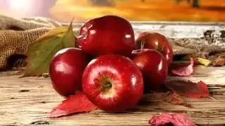 Рецепты браги из яблок