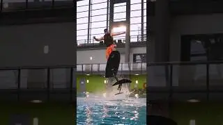 How to be cool, efoil in the pool with Lift4 #efoil