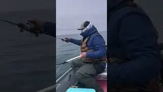 Джиггинг симы на Сахалине, первая 💪🔥