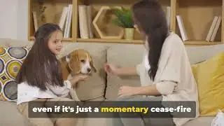 The ultimate guide to raising a perfect fur family 🥰