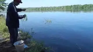 река Вятка