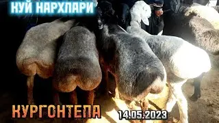 КУЧКОР ВА КУЗИ НАРХЛАРИ АНДИЖОН КУРГОНТЕПА ХАЙВОН БОЗОР