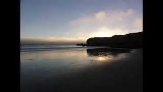 Año Nuevo State Park