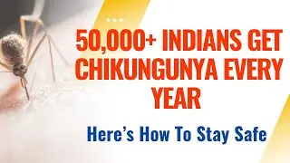 Chikungunya Infection I Diagnosis I Treatment I Prevention #fever#infection#chikungunya #management
