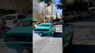 Maverick V8 331 