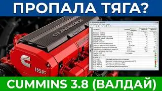 Диагностика Cummins Валдай Камминс 3,8 нет тяги