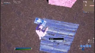 Fortnite_20200127173425