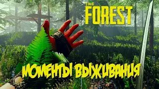 Первый день в The Forest. Моменты.