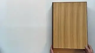 AstronomicumCaesareum-Doos