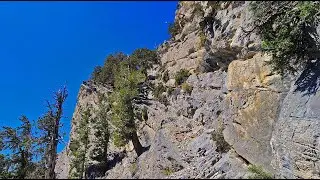 Macks Peak Summit Route Exploration | Lee Canyon | Spring Mountains, Nevada