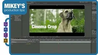 After Effects Quick Tip: Cinema Crop