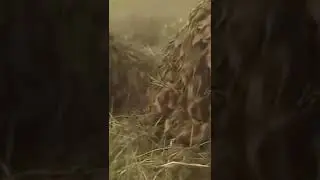Sniper Equipment 
