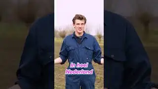 Heeft Nederland een mesttekort of een mestoverschot?