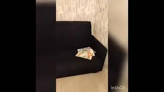 2х комнатная квартира на пр.Тореза