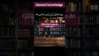 general knowledge questions | general knowledge MCQs | gk question and answer #fyp #viralvideo #gk
