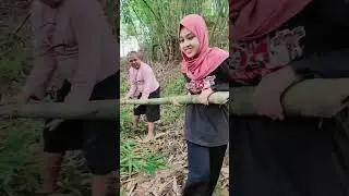 Gadis desa mencari bambu untuk membuat eper dari bambuu 😂