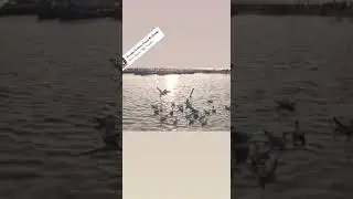 sangam prayagraj