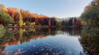 УТКИ ХЛЕБ НЕ ЕДЯТ 