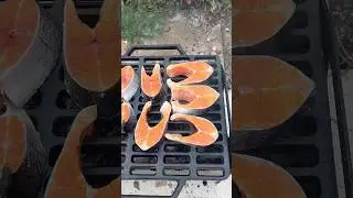 Жарёха на День Шахтёра 