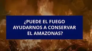¿Puede el fuego ayudarnos a conservar el Amazonas? | FIIAPP