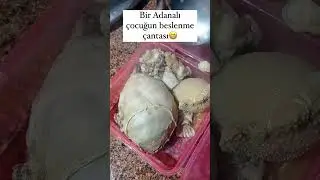 Efsane Komik Yorumlar 5'i Bir Yerde (4) 