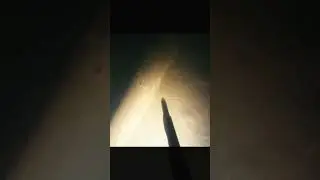 Как зимует сом в небольшой реке👀