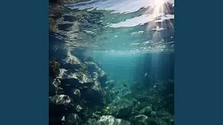 Ocean Study Calm Sounds