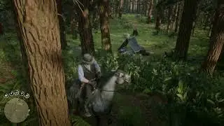 Feels Like Rockstar Has Removed So Much Content From Version 1.00 Of RDR2 | Red Dead Redemption 2