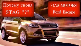 Почему снова STAG??? Ford Escape / QNEXT /Gas Motors