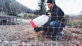 Sick of Frozen Chicken Waterers | This changes Everything!