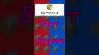 КАК ЗОВУТ ПОПУЛЯРНЫХ ЮТУБЕРОВ ПО ЧИКЕН ГАН 