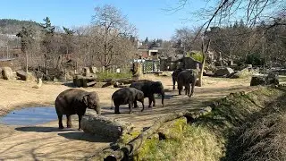 Зоопарк в Праге