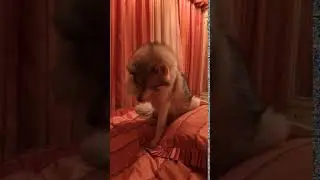 Скромность не порок...