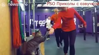 Приколы с котами с – СМЕШНЫЕ КОТЫ и КОШКИ.
