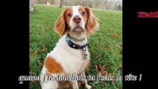 Ta patte  Ralf -