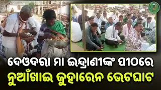 ଦେଓଦରା ମା ଇନ୍ଦ୍ରାଣୀଙ୍କ ପୀଠରେ ନୁଆଁଖାଇ ଜୁହାରେନ ଭେଟଘାଟ ଅନୁଷ୍ଠିତ | Odisha Sanket