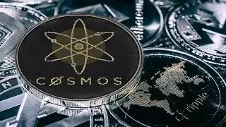 What is the future of Cosmos?