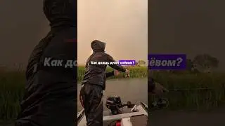 Как дождь влияет на клёв рыбы 