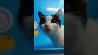 В надежде, что найдем Нине дом.Как не хочется ее отпускать обратно на улицу,где голод и холод(